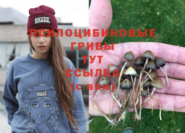 прущая мука Лабытнанги