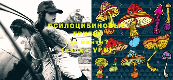 мдма Лагань