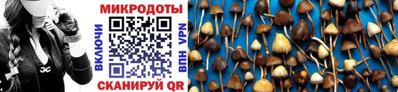 Галлюциногенные грибы мицелий  мега как зайти  Тогучин  продажа наркотиков 